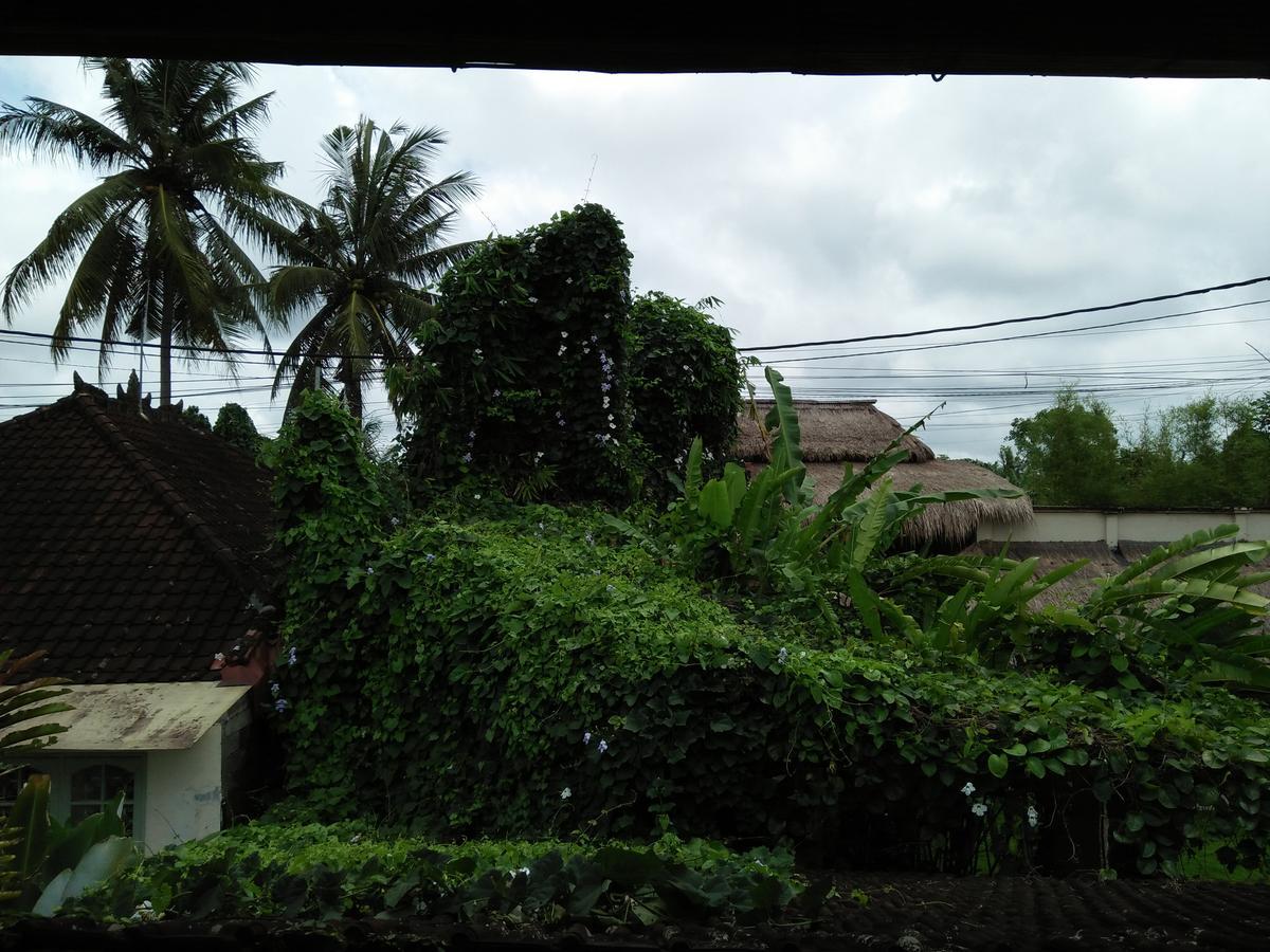 Villa Gaia Ubud Exteriér fotografie