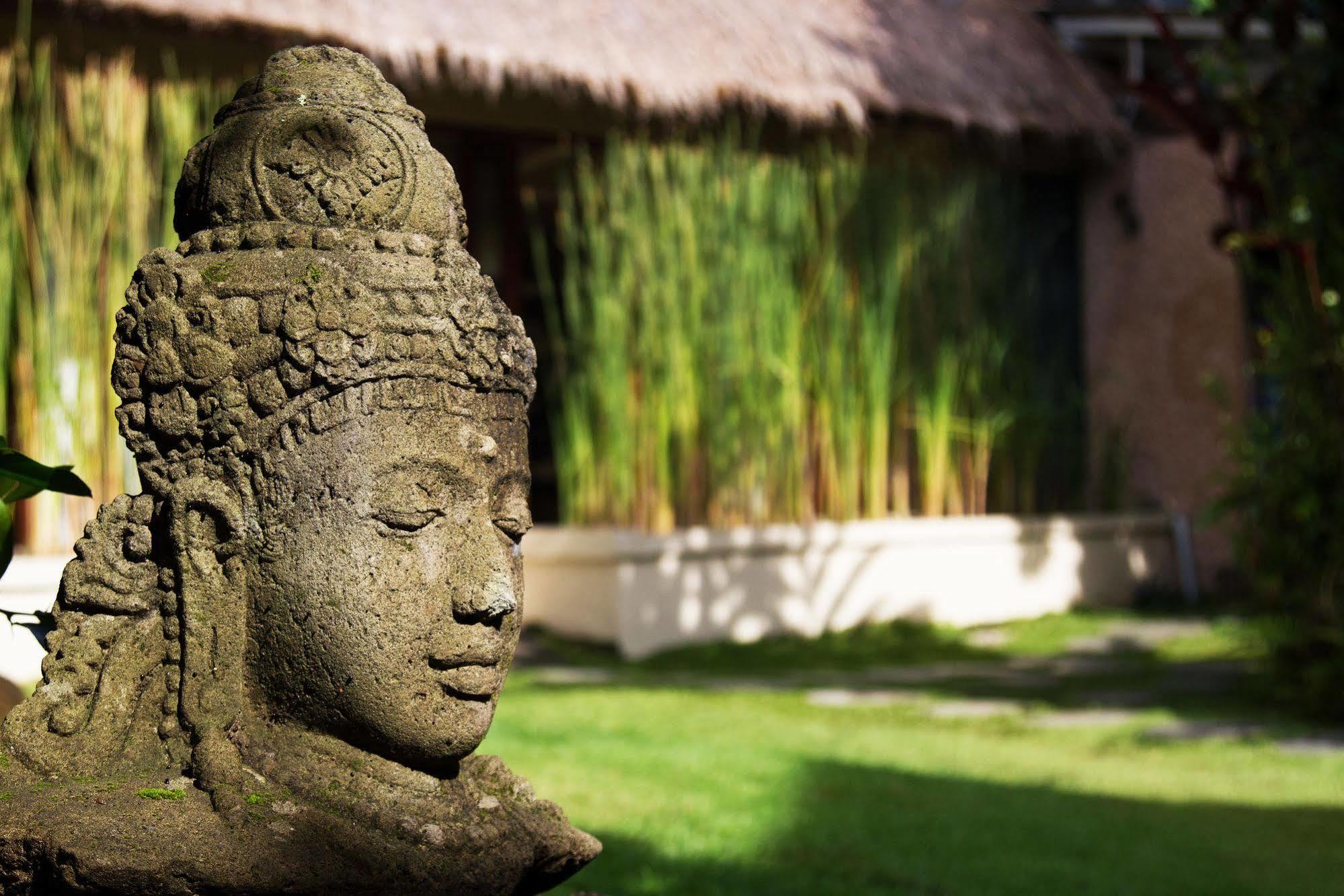 Villa Gaia Ubud Exteriér fotografie